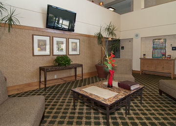 H I Express & Suites San Antonio Medical-Six Flags Ngoại thất bức ảnh